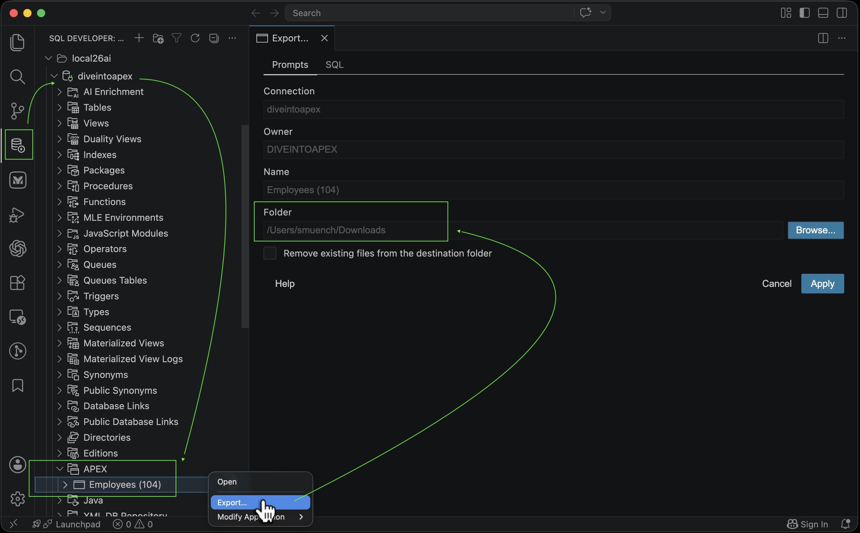 SQL Developer for VS Code 中从连接的 APEX 文件夹导出 Employees 应用