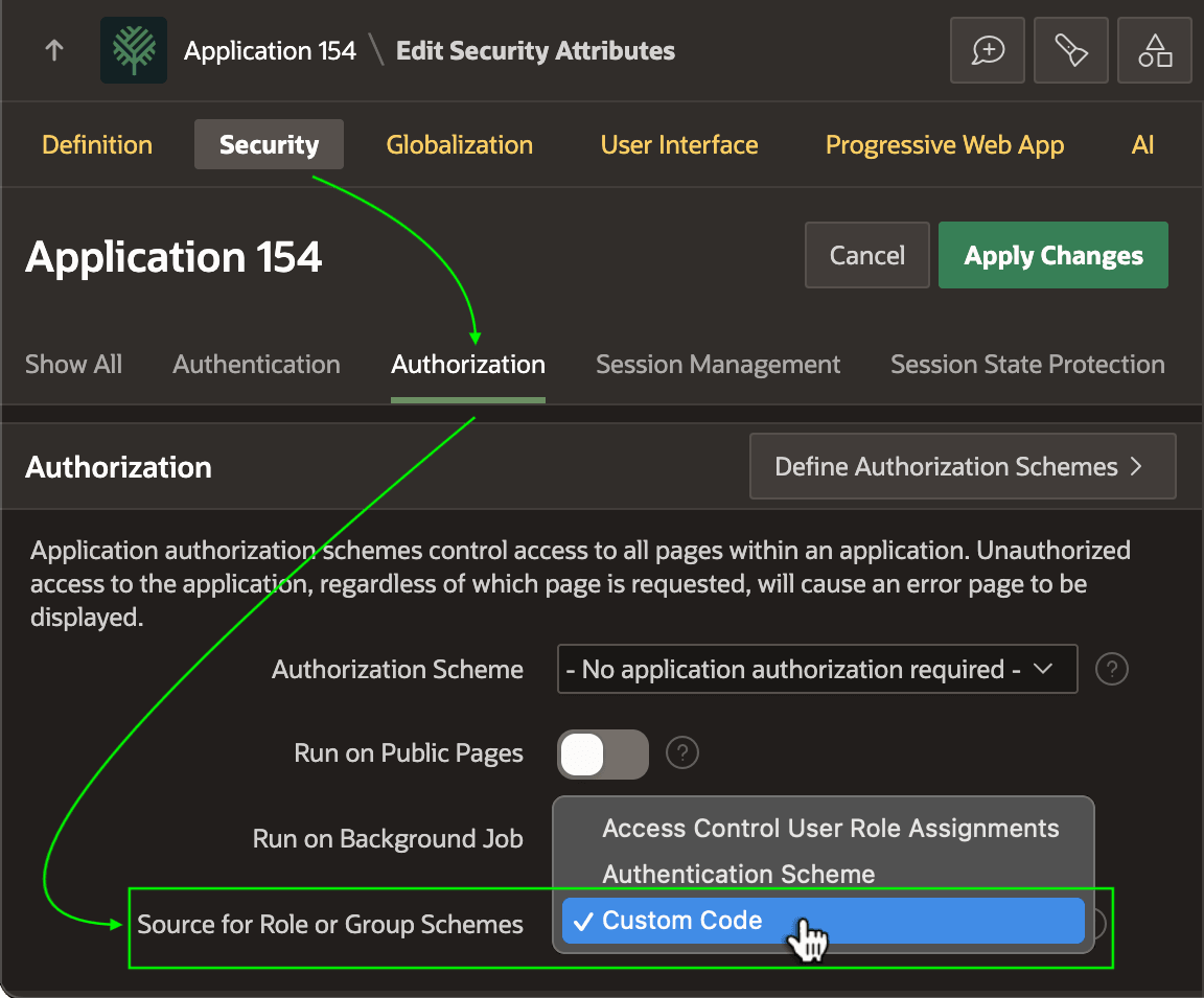 应用 Security Attributes 中 Source for Role or Group Schemes 设置为 Custom Code
