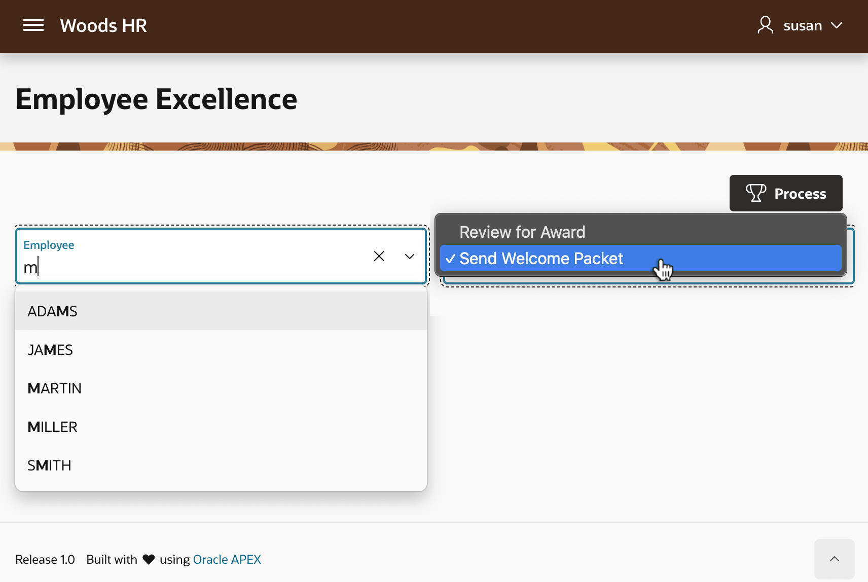 HR 代表使用的 Employee Excellence 页面