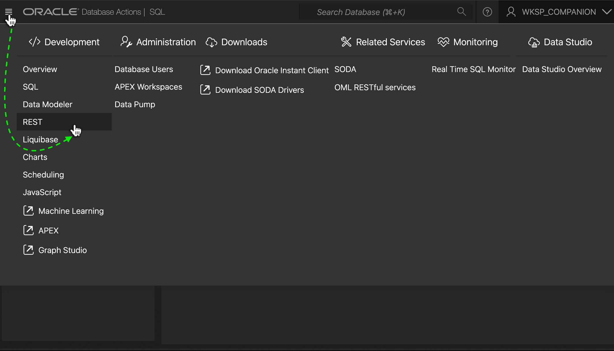 图 14-6 进入 SQL Developer Web REST Designer：官方捕获图片 2