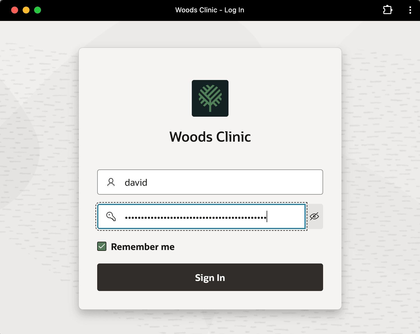 图 25.3.5.1-1 启动 Woods Clinic 应用