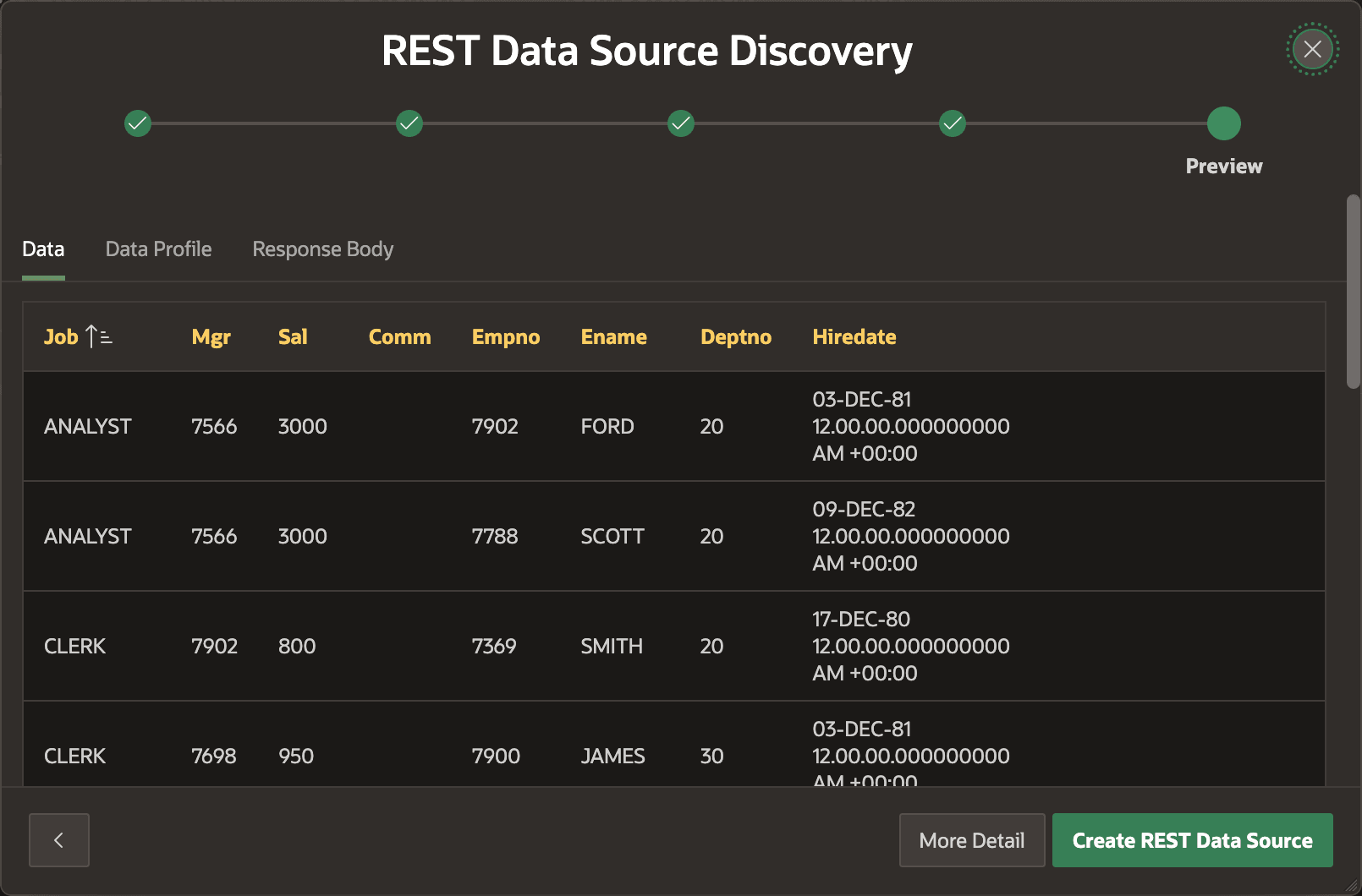 REST Data Source 向导预览返回的行数据