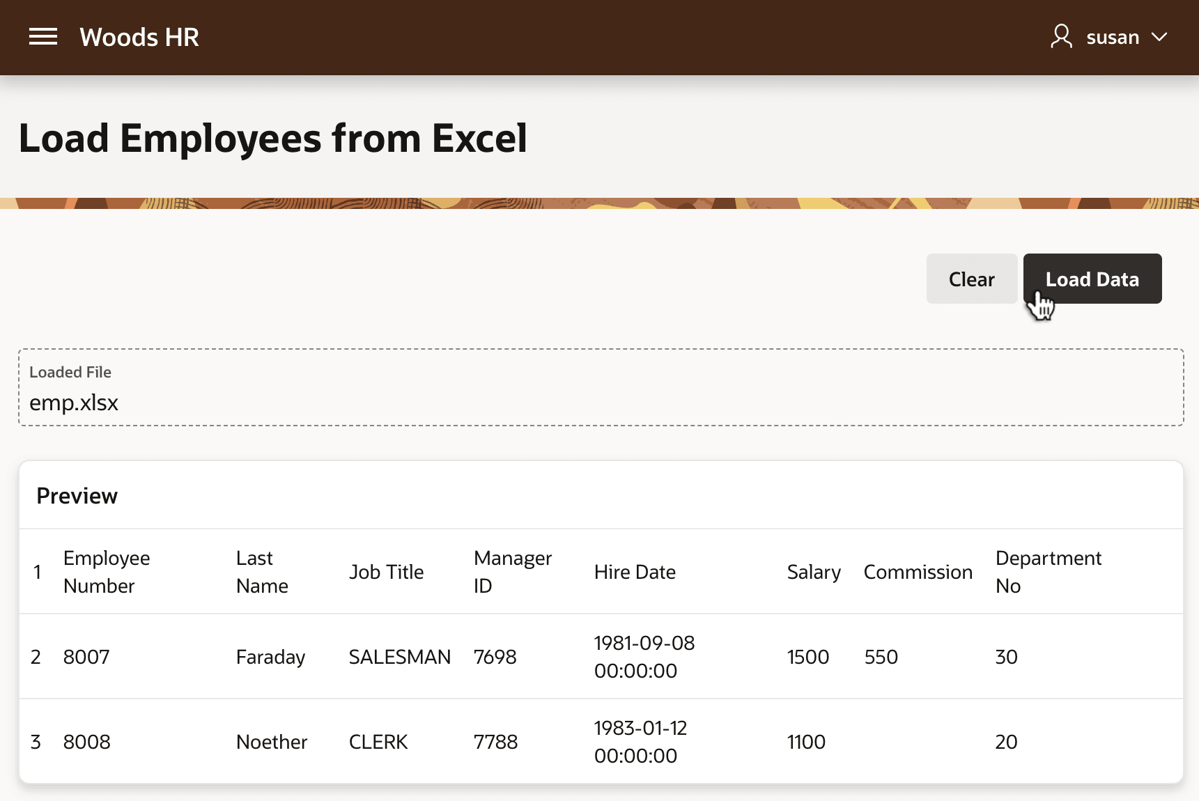 预览即将装载的 Excel 数据